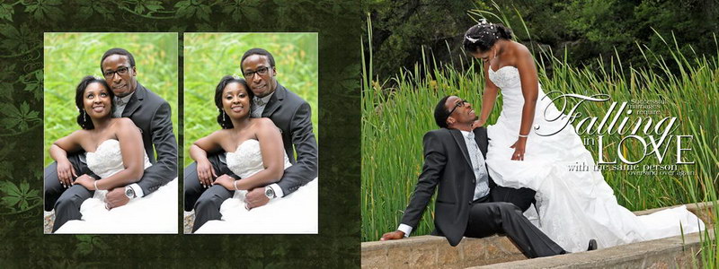 Pierre Bassani absolute Productions wedding Photographer